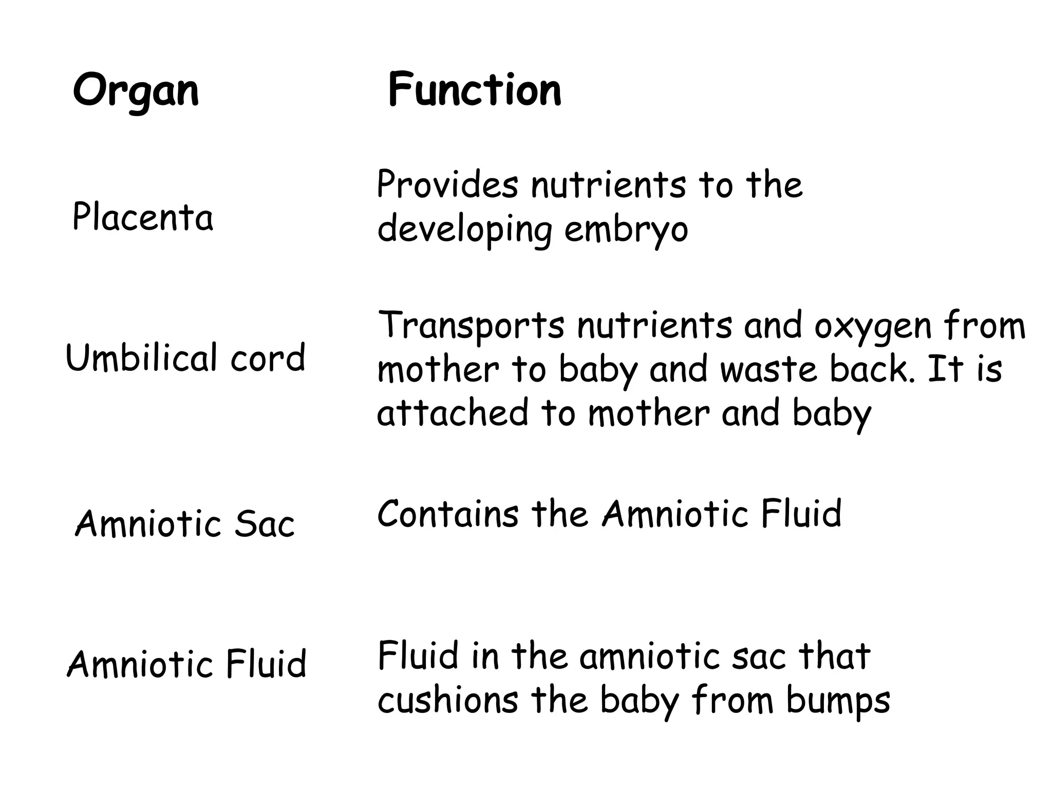 Organ Function Placenta Umbilical cord Amniotic Sac Amniotic Fluid Provides nutrients to the developing embryo Transports nutrients and oxygen from mother to baby and waste back. It is attached to mother and baby Contains the Amniotic Fluid Fluid in the amniotic sac that cushions the baby from bumps 