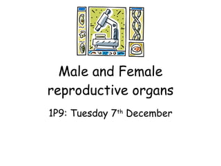 Male and Female reproductive organs 1P9: Tuesday 7 th  December 
