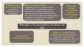 Princípios e/ou mecanismos da reforma de
2003
Pagamento único
por exploração para
os agricultores
independentemente
da produção
Regime de condicionalidade:
o pagamento único às explorações fica
condicionado ao respeito pelas normas
ambientais, de segurança alimentar, da
sanidade animal, da fitossanidade, do bem –
estar animal e da exigência de manter todas as
superfícies agrícolas em boas condições
agronómicas e ambientais.
Reforço das
medidas
comunitárias de
apoio ao
desenvolvimento
rural
Regime de modulação para o
financiamento do desenvolvimento
rural, que se traduzirá numa
diminuição dos pagamentos diretos às
explorações de maior dimensão
Novo sistema de
aconselhamento agrícola
 