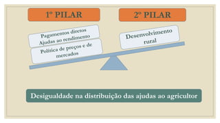 1º PILAR 2º PILAR
Desigualdade na distribuição das ajudas ao agricultor
 