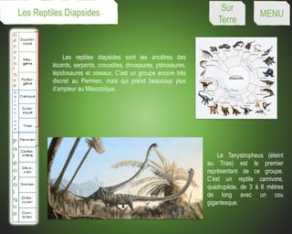 Les reptiles diapsides sont les ancêtres des
lézards, serpents, crocodiles, dinosaures, ptérosaures,
lépidosaures et oiseaux. C’est un groupe encore très
discret au Permien, mais qui prend beaucoup plus
d’ampleur au Mésozoïque.
Le Tanystropheus (éteint
au Trias) est le premier
représentant de ce groupe.
C’est un reptile carnivore,
quadrupède, de 3 à 6 mètres
de long avec un cou
gigantesque.
Les Reptiles Diapsides Sur
Terre
MENU
 