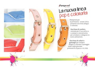 La nuova linea 
p op e colorata 
Pampered per 
la primavera - estate 2014 
presenta una linea allegra 
e colorata. 
Una linea di comfort, 
comoda per il tuo amico a 
4 zampe e coloratissima 
per arredare e rallegrare la 
vostra abitazione. 
Una linea di collari e 
guinzagli per rendere 
allegro e colorato il paseggio 
nelle calde giornate 
primaverili al parco o in città. 
 