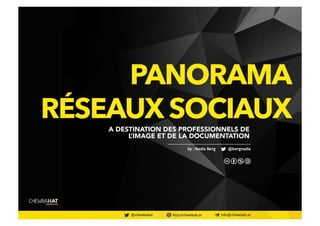 PANORAMA 
RÉSEAUX SOCIAUX A DESTINATION DES PROFESSIONNELS DE 
L’IMAGE ET DE LA DOCUMENTATION 
@twitter 
 