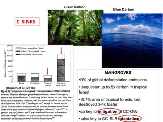 Climate Change Adaptation and Mitigation Through Mangrove Conservation ...