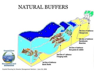 Climate Change Adaptation and Mitigation Through Mangrove Conservation ...
