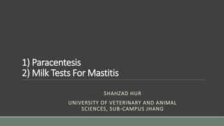 1) Paracentesis
2) Milk Tests For Mastitis
SHAHZAD HUR
UNIVERSITY OF VETERINARY AND ANIMAL
SCIENCES, SUB-CAMPUS JHANG
 