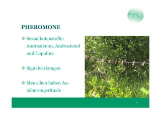 PHEROMONE

 Sexualbotenstoffe:
 Androstenon, Androstenol
 und Copuline


 Signalwirkungen


 Menschen haben An-
 näherungsrituale

                            14
 