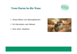 Vom Darm in die Nase



Graue Steine von Seeungeheuern

Ein Darmstein vom Pottwal

Eine chem. Reaktion




                                 17
 