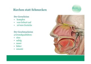 Riechen statt Schmecken

Der Geruchsinn
• komplex
• von Geburt auf
• 10’000 Gerüche


Der Geschmacksinn
5 Grundqualitäten:
• süss
• salzig
• sauer
• bitter
• umami
 