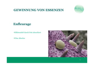 GEWINNUNG VON ESSENZEN



Enfleurage

 Blütenduft durch Fett absorbiert


 Das Absolue




                                    9
 