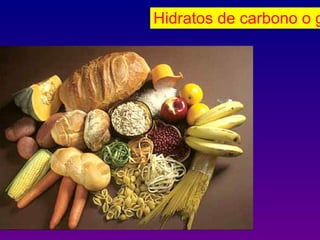 Hidratos de carbono o g
 