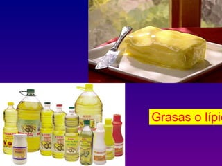Grasas o lípid
 