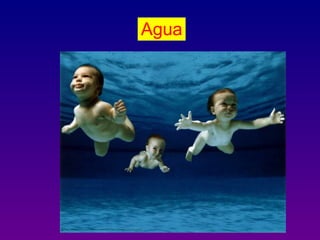 Agua
 