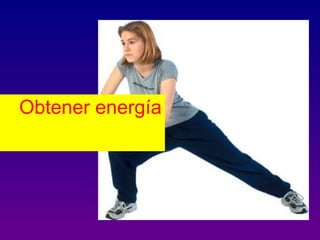 Obtener energía
 