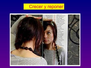 Crecer y reponer
 