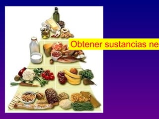 Obtener sustancias nec
 