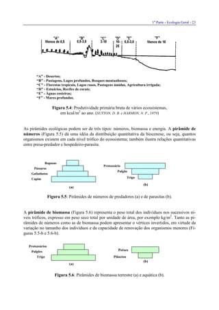 1a
Parte - Ecologia Geral - 23
Capim
Trigo
Gafanhotos
Pulgões
Pássaros
Protozoários
Raposas
Trigo
Plâncton
Pulgão
Peixes
Protozoário
“A” - Desertos;
“B” - Pastagens, Lagos profundos, Bosques montanhosos;
“C” - Florestas tropicais, Lagos rasos, Pastagens úmidas, Agricultura irrigada;
“D” - Estuários, Recifes de corais;
“E” - Águas costeiras;
“F” - Mares profundos.
Figura 5.4: Produtividade primária bruta de vários ecossistemas,
em kcal/m2
ao ano. (SUTTON, D. B. e HARMON, N. P., 1979)
As pirâmides ecológicas podem ser de três tipos: números, biomassa e energia. A pirâmide de
números (Figura 5.5) dá uma idéia da distribuição quantitativa da biocenose, ou seja, quantos
organismos existem em cada nível trófico do ecossistema; também ilustra relações quantitativas
entre presa-predador e hospedeiro-parasita.
Figura 5.5: Pirâmides de números de predadores (a) e de parasitas (b).
A pirâmide de biomassa (Figura 5.6) representa o peso total dos indivíduos nos sucessivos ní-
veis tróficos, expresso em peso seco total por unidade de área, por exemplo kg/m2
. Tanto as pi-
râmides de números como as de biomassa podem apresentar o vértices invertidos, em virtude da
variação no tamanho dos indivíduos e da capacidade de renovação dos organismos menores (Fi-
guras 5.5-b e 5.6-b).
Figura 5.6: Pirâmides de biomassa terrestre (a) e aquática (b).
(a)
(a)
(b)
(b)
 