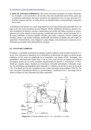 28 - Introdução às Ciências do Ambiente para Engenharia
♦ ciclos (de nutrientes) sedimentares, têm como reservatório geológico as rochas sedimenta-
res. Exemplo: o ciclo do fósforo e do enxofre. Estes são considerados ciclos lentos, posto que
os depósitos sedimentares são pouco acessíveis aos organismos, uma vez que, para que os e-
lementos cheguem até eles, as rochas devem ser intemperizadas e, posteriormente, transporta-
das ao solo.
A interferência do homem nos ciclos biogeoquímicos dá-se basicamente pela utilização do ar, da
água ou do solo como sumidouro de seus despejos. Muitas substâncias são tóxicas, atacam o sis-
tema respiratório de plantas e animais, causam danos aos tecidos das folhas, destroem os micror-
ganismos dos solos, alteram as trocas gasosas, contribuindo para inibir o desenvolvimento da vi-
da nesses ambientes. O homem também contribui para tornar o processo acíclico, quando, por
exemplo, extrai e trata rochas fosfatadas, produzindo fertilizantes fosfatados que são usados na
agricultura. Posteriormente, estes atingem os corpos d'água, concorrendo para o processo de eu-
troficação, provocando sérios desequilíbrios nas águas.
6.1. CICLO DO CARBONO
O carbono é o principal constituinte de qualquer matéria orgânica, sendo portanto essencial à vi-
da na Terra. Encontra-se disponível no ar atmosférico ou dissolvido nas águas, na forma de gás
carbônico. O CO2 entra na composição do ar atmosférico com apenas 0,03%. Entretanto, esta
quantidade é suficiente para manter toda a vida na Terra, uma vez que se mantém em contínua
reciclagem, através do seu ciclo, conforme esquematizado na figura 6.1. Inicialmente, o CO2 é
fixado por vegetais, algas e bactérias na fotossíntese, formando carboidratos e liberando oxigê-
nio. Os carboidratos são degradados pela respiração e o carbono é devolvido ao meio na forma de
CO2. Uma fração do CO2 do ar combina-se com a chuva formando ácido carbônico (H2CO3). No
solo, este passa a bicarbonato (HCO3
-
) e, posteriormente, a carbonato (CO3
=
). Este reage com os
ácidos existentes no solo, liberando CO2 para a atmosfera.
Figura 6.1: Ciclo do carbono (SILVA, T. B. e OLIVEIRA, W. B. 1992)
 