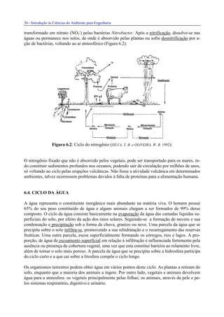 30 - Introdução às Ciências do Ambiente para Engenharia
transformado em nitrato (NO3
-
) pelas bactérias Nitrobacter. Após a nitrificação, dissolve-se nas
águas ou permanece nos solos, de onde é absorvido pelas plantas ou sofre desnitrificação por a-
ção de bactérias, voltando ao ar atmosférico (Figura 6.2).
Figura 6.2: Ciclo do nitrogênio (SILVA, T. B. e OLIVEIRA, W. B. 1992).
O nitrogênio fixado que não é absorvido pelos vegetais, pode ser transportado para os mares, in-
do constituir sedimentos profundos nos oceanos, podendo sair de circulação por milhões de anos,
só voltando ao ciclo pelas erupções vulcânicas. Não fosse a atividade vulcânica em determinados
ambientes, talvez ocorressem problemas devidos à falta de proteínas para a alimentação humana.
6.4. CICLO DA ÁGUA
A água representa o constituinte inorgânico mais abundante na matéria viva. O homem possui
65% do seu peso constituído de água e alguns animais chegam a ser formados de 99% desse
composto. O ciclo da água consiste basicamente na evaporação da água das camadas líquidas su-
perficiais do solo, por efeito da ação dos raios solares. Seguindo-se a formação de nuvens e sua
condensação e precipitação sob a forma de chuva, granizo ou neve. Uma parcela da água que se
precipita sobre o solo infiltra-se, promovendo a sua rehidratação e o recarregamento das reservas
freáticas. Uma outra parcela, escoa superficialmente formando os córregos, rios e lagos. A pro-
porção, de água de escoamento superficial em relação à infiltração é influenciada fortemente pela
ausência ou presença de cobertura vegetal, uma vez que esta constitui barreira ao rolamento livre,
além de tornar o solo mais poroso. A parcela de água que se precipita sobre a hidrosfera participa
do ciclo curto e a que cai sobre a litosfera compõe o ciclo longo.
Os organismos terrestres podem obter água em vários pontos deste ciclo. As plantas a retiram do
solo, enquanto que a maioria dos animais a ingere. Por outro lado, vegetais e animais devolvem
água para a atmosfera: os vegetais principalmente pelas folhas; os animais, através da pele e pe-
los sistemas respiratório, digestivo e urinário.
 