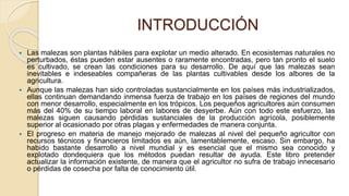 INTRODUCCIÓN
 Las malezas son plantas hábiles para explotar un medio alterado. En ecosistemas naturales no
perturbados, éstas pueden estar ausentes o raramente encontradas, pero tan pronto el suelo
es cultivado, se crean las condiciones para su desarrollo. De aquí que las malezas sean
inevitables e indeseables compañeras de las plantas cultivables desde los albores de la
agricultura.
 Aunque las malezas han sido controladas sustancialmente en los países más industrializados,
ellas continuan demandando inmensa fuerza de trabajo en los países de regiones del mundo
con menor desarrollo, especialmente en los trópicos. Los pequeños agricultores aún consumen
más del 40% de su tiempo laboral en labores de desyerbe. Aún con todo este esfuerzo, las
malezas siguen causando pérdidas sustanciales de la producción agrícola, posiblemente
superior al ocasionado por otras plagas y enfermedades de manera conjunta.
 El progreso en materia de manejo mejorado de malezas al nivel del pequeño agricultor con
recursos técnicos y financieros limitados es aún, lamentablemente, escaso. Sin embargo, ha
habido bastante desarrollo a nivel mundial y es esencial que el mismo sea conocido y
explotado dondequiera que los métodos puedan resultar de ayuda. Este libro pretender
actualizar la información existente, de manera que el agricultor no sufra de trabajo innecesario
o pérdidas de cosecha por falta de conocimiento útil.
 