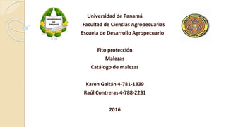 Universidad de Panamá
Facultad de Ciencias Agropecuarias
Escuela de Desarrollo Agropecuario
Fito protección
Malezas
Catálogo de malezas
Karen Gaitán 4-781-1339
Raúl Contreras 4-788-2231
2016
 