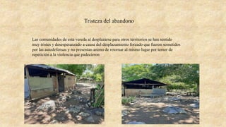 Tristeza del abandono
.
Las comunidades de esta vereda al desplazarse para otros territorios se han sentido
muy tristes y desesperanzado a causa del desplazamiento forzado que fueron sometidos
por las autodefensas y no presentan animo de retornar al mismo lugar por temor de
repetición a la violencia que padecieron
 