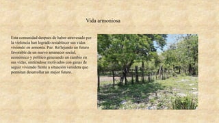 Esta comunidad después de haber atravesado por
la violencia han logrado restablecer sus vidas
viviendo en armonía. Paz. Reflejando un futuro
favorable de un nuevo amanecer social,
económico y político generando un cambio en
sus vidas, sintiéndose motivados con ganas de
seguir viviendo frente a situación venidera que
permitan desarrollar un mejor futuro.
Vida armoniosa
 