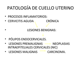 PATOLOGÍA DE CUELLO UTERINO
• PROCESOS INFLAMATORIOS:
• CERVICITIS AGUDA CRÓNICA
• LESIONES BENIGNAS:
• PÓLIPOS ENDOCERVICALES.
• LESIONES PREMALIGNAS NEOPLASIAS
INTRAEPITELIALES CERVICALES (NIC)
• LESIONES MALIGNAS CARCINOMA.
 