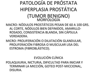 PATOLOGÍA DE PRÓSTATA
HIPERPLASIA PROSTÁTICA
(TUMOR BENIGNO)
MORFOLOGÍA
MACRO: NÓDULOS PROSTÁTICOS PESAN DE 60 A 100 GRS.
AL CORTE, NÓDULOS BIEN DEFINIDOS, AMARILLO-
ROSADO, CONSISTENCIA BLANDA, SIN CÁPSULA
VERDADERA.
MICRO: PROLIFERACIÓN O DILATACIÓN GLANDULAR,
PROLIFERACIÓN FIBROSA O MUSCULAR LISA DEL
ESTROMA (FIBROBLÁSTICO).
EVOLUCIÓN CLÍNICA
POLAQUIURIA, NICTURIA, DIFICULTAD PARA INICIAR Y
TERMINAR LA MICCIÓN, GOTEO POST-MICCIONAL,
DISURIA.
 