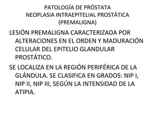 PATOLOGÍA DE PRÓSTATA
NEOPLASIA INTRAEPITELIAL PROSTÁTICA
(PREMALIGNA)
LESIÓN PREMALIGNA CARACTERIZADA POR
ALTERACIONES EN EL ORDEN Y MADURACIÓN
CELULAR DEL EPITELIO GLANDULAR
PROSTÁTICO.
SE LOCALIZA EN LA REGIÓN PERIFÉRICA DE LA
GLÁNDULA. SE CLASIFICA EN GRADOS: NIP I,
NIP II, NIP III, SEGÚN LA INTENSIDAD DE LA
ATIPIA.
 