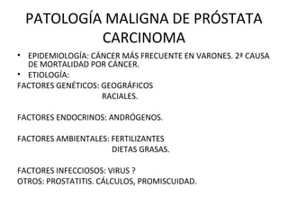 PATOLOGÍA MALIGNA DE PRÓSTATA
CARCINOMA
• EPIDEMIOLOGÍA: CÁNCER MÁS FRECUENTE EN VARONES. 2ª CAUSA
DE MORTALIDAD POR CÁNCER.
• ETIOLOGÍA:
FACTORES GENÉTICOS: GEOGRÁFICOS
RACIALES.
FACTORES ENDOCRINOS: ANDRÓGENOS.
FACTORES AMBIENTALES: FERTILIZANTES
DIETAS GRASAS.
FACTORES INFECCIOSOS: VIRUS ?
OTROS: PROSTATITIS. CÁLCULOS, PROMISCUIDAD.
 