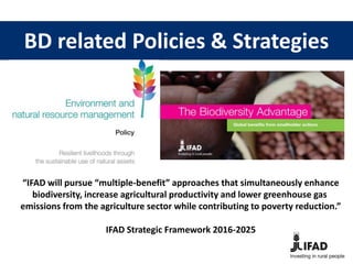 “IFAD will pursue “multiple-benefit” approaches that simultaneously enhance
biodiversity, increase agricultural productivi...