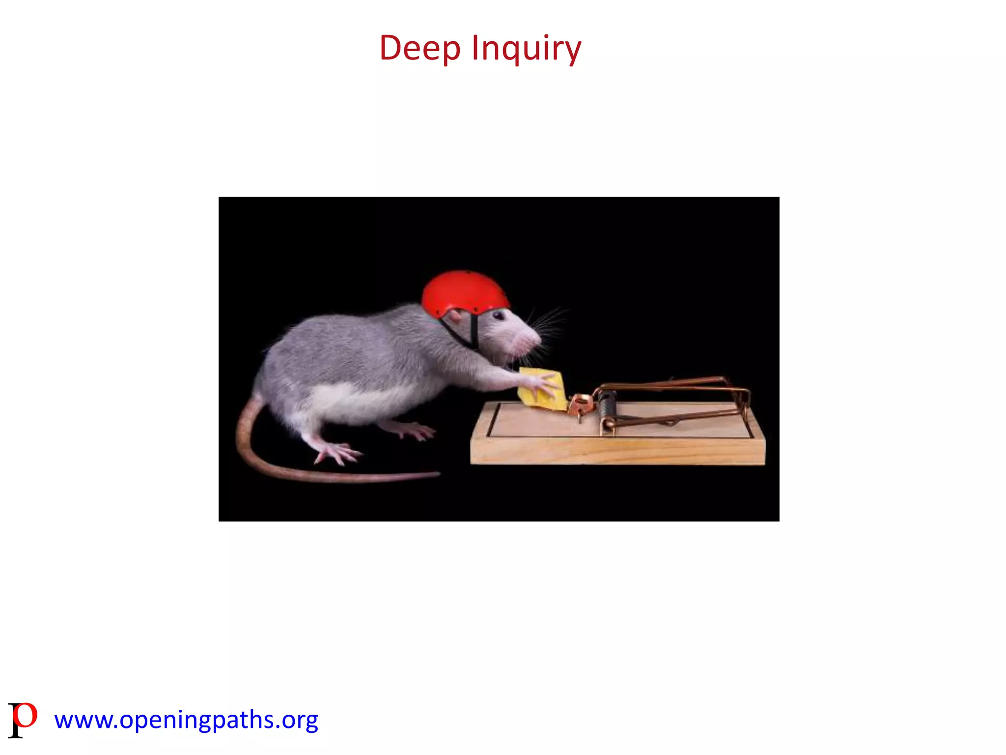 www.openingpaths.org 
Deep Inquiry 
 