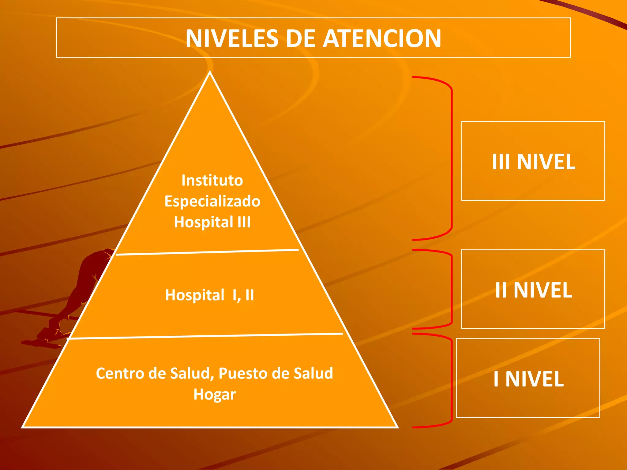 NIVELES DE ATENCIÓN EN SALUD I | PDF