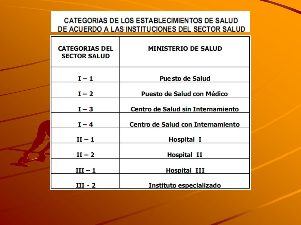 NIVELES DE ATENCIÓN EN SALUD I