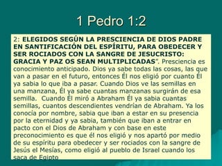 1 Pedro 1:2
2: ELEGIDOS SEGÚN LA PRESCIENCIA DE DIOS PADRE
EN SANTIFICACIÓN DEL ESPÍRITU, PARA OBEDECER Y
SER ROCIADOS CON LA SANGRE DE JESUCRISTO:
GRACIA Y PAZ OS SEAN MULTIPLICADAS”. Presciencia es
conocimiento anticipado. Dios ya sabe todas las cosas, las que
van a pasar en el futuro, entonces Él nos eligió por cuanto Él
ya sabia lo que iba a pasar. Cuando Dios ve las semillas en
una manzana, Él ya sabe cuantas manzanas surgirán de esa
semilla. Cuando Él miró a Abraham Él ya sabia cuantas
semillas, cuantos descendientes vendrían de Abraham. Ya los
conocía por nombre, sabia que iban a estar en su presencia
por la eternidad y ya sabia, también que iban a entrar en
pacto con el Dios de Abraham y con base en este
preconocimiento es que él nos eligió y nos apartó por medio
de su espíritu para obedecer y ser rociados con la sangre de
Jesús el Mesías, como eligió al pueblo de Israel cuando los
saca de Egipto
 