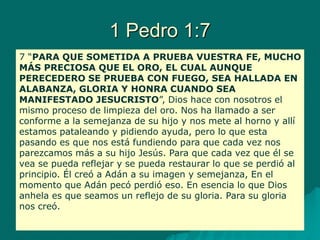 1 Pedro 1:7
7 “PARA QUE SOMETIDA A PRUEBA VUESTRA FE, MUCHO
MÁS PRECIOSA QUE EL ORO, EL CUAL AUNQUE
PERECEDERO SE PRUEBA CON FUEGO, SEA HALLADA EN
ALABANZA, GLORIA Y HONRA CUANDO SEA
MANIFESTADO JESUCRISTO”, Dios hace con nosotros el
mismo proceso de limpieza del oro. Nos ha llamado a ser
conforme a la semejanza de su hijo y nos mete al horno y allí
estamos pataleando y pidiendo ayuda, pero lo que esta
pasando es que nos está fundiendo para que cada vez nos
parezcamos más a su hijo Jesús. Para que cada vez que él se
vea se pueda reflejar y se pueda restaurar lo que se perdió al
principio. Él creó a Adán a su imagen y semejanza, En el
momento que Adán pecó perdió eso. En esencia lo que Dios
anhela es que seamos un reflejo de su gloria. Para su gloria
nos creó.
 