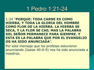 1 Pedro 1:21-24
1:24 “PORQUE: TODA CARNE ES COMO
HIERBA, Y TODA LA GLORIA DEL HOMBRE
COMO FLOR DE LA HIERBA. LA HIERBA SE
SECA, Y LA FLOR SE CAE; MAS LA PALABRA
DEL SEÑOR PERMANECE PARA SIEMPRE. Y
ESTA ES LA PALABRA QUE POR EL EVANGELIO
OS HA SIDO ANUNCIADA”.
Por este mensaje que los profetas estuvieron
anunciando (Isaias 40:6-9) nos ha sido anunciada a
nosotros.
 