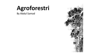 Agroforestri
By Abdul Samad

 