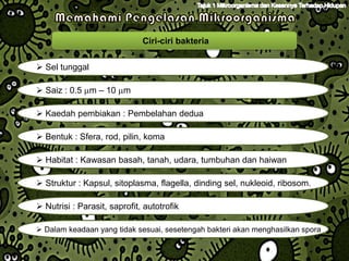Ciri-ciri bakteria


 Sel tunggal

 Saiz : 0.5 m – 10 m

 Kaedah pembiakan : Pembelahan dedua

 Bentuk : Sfera, rod, pilin, koma

 Habitat : Kawasan basah, tanah, udara, tumbuhan dan haiwan

 Struktur : Kapsul, sitoplasma, flagella, dinding sel, nukleoid, ribosom.

 Nutrisi : Parasit, saprofit, autotrofik

 Dalam keadaan yang tidak sesuai, sesetengah bakteri akan menghasilkan spora
 
