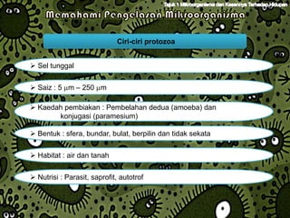 Ciri-ciri protozoa


 Sel tunggal


 Saiz : 5 m – 250 m

 Kaedah pembiakan : Pembelahan dedua (amoeba) dan
       konjugasi (paramesium)

 Bentuk : sfera, bundar, bulat, berpilin dan tidak sekata


 Habitat : air dan tanah

 Nutrisi : Parasit, saprofit, autotrof
 