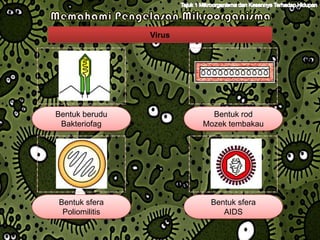 Virus




Bentuk berudu             Bentuk rod
 Bakteriofag            Mozek tembakau




Bentuk sfera             Bentuk sfera
 Poliomilitis               AIDS
 