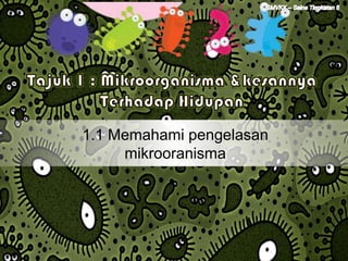 1.1 Memahami pengelasan
     mikrooranisma
 