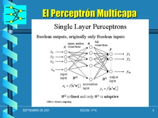 El Perceptrón Multicapa 