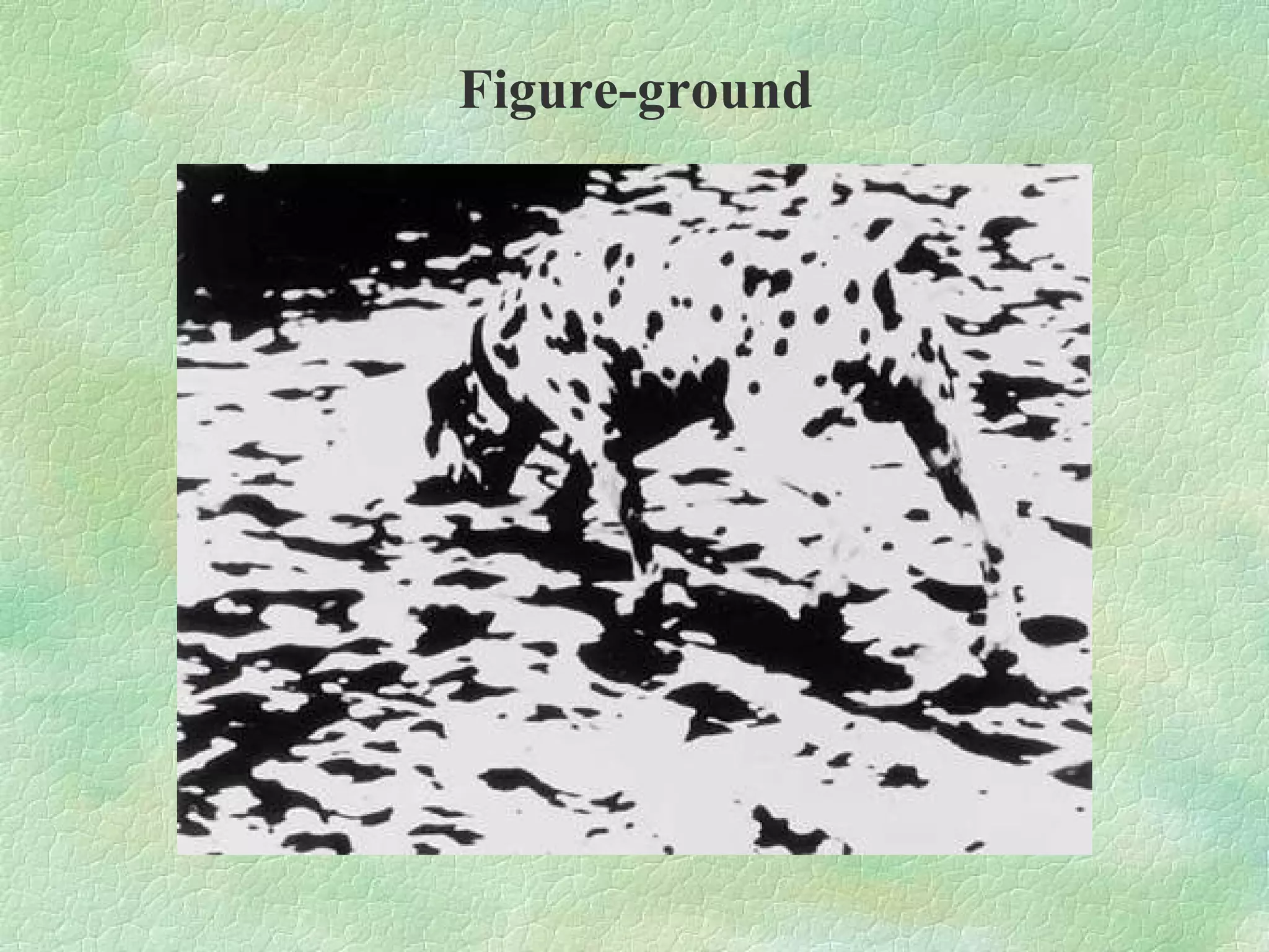 Figure-ground
 