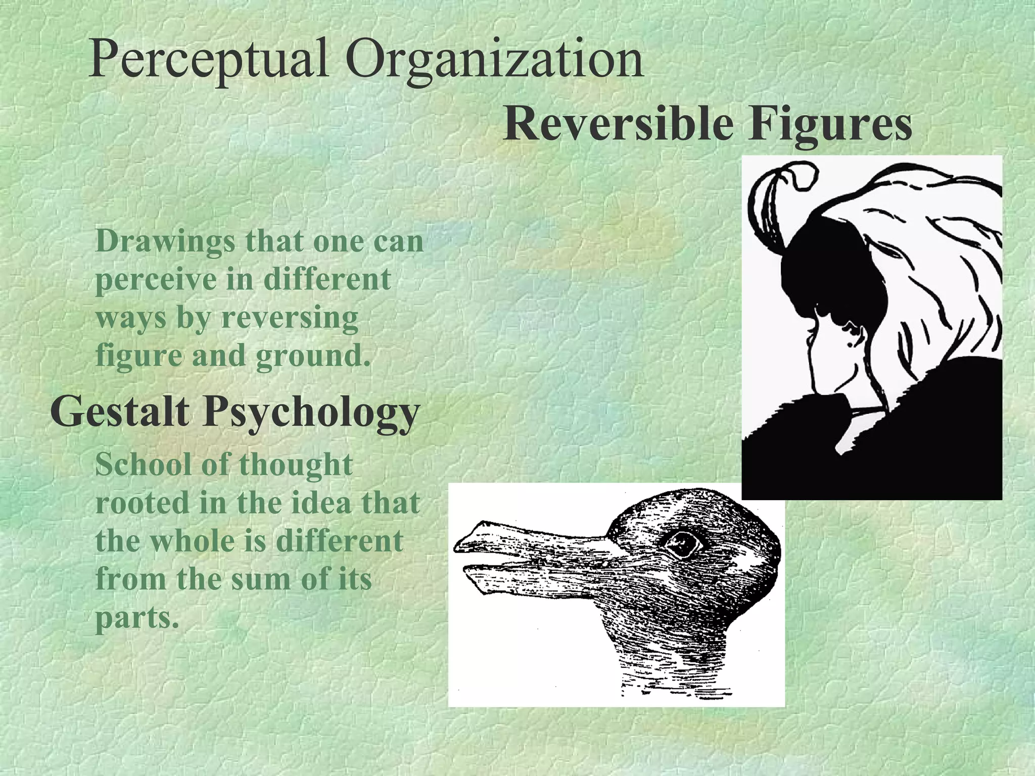 Perceptual Organization
                            Reversible Figures

  Drawings that one can
  perceive in different
  ways by reversing
  figure and ground.
Gestalt Psychology
  School of thought
  rooted in the idea that
  the whole is different
  from the sum of its
  parts.
 