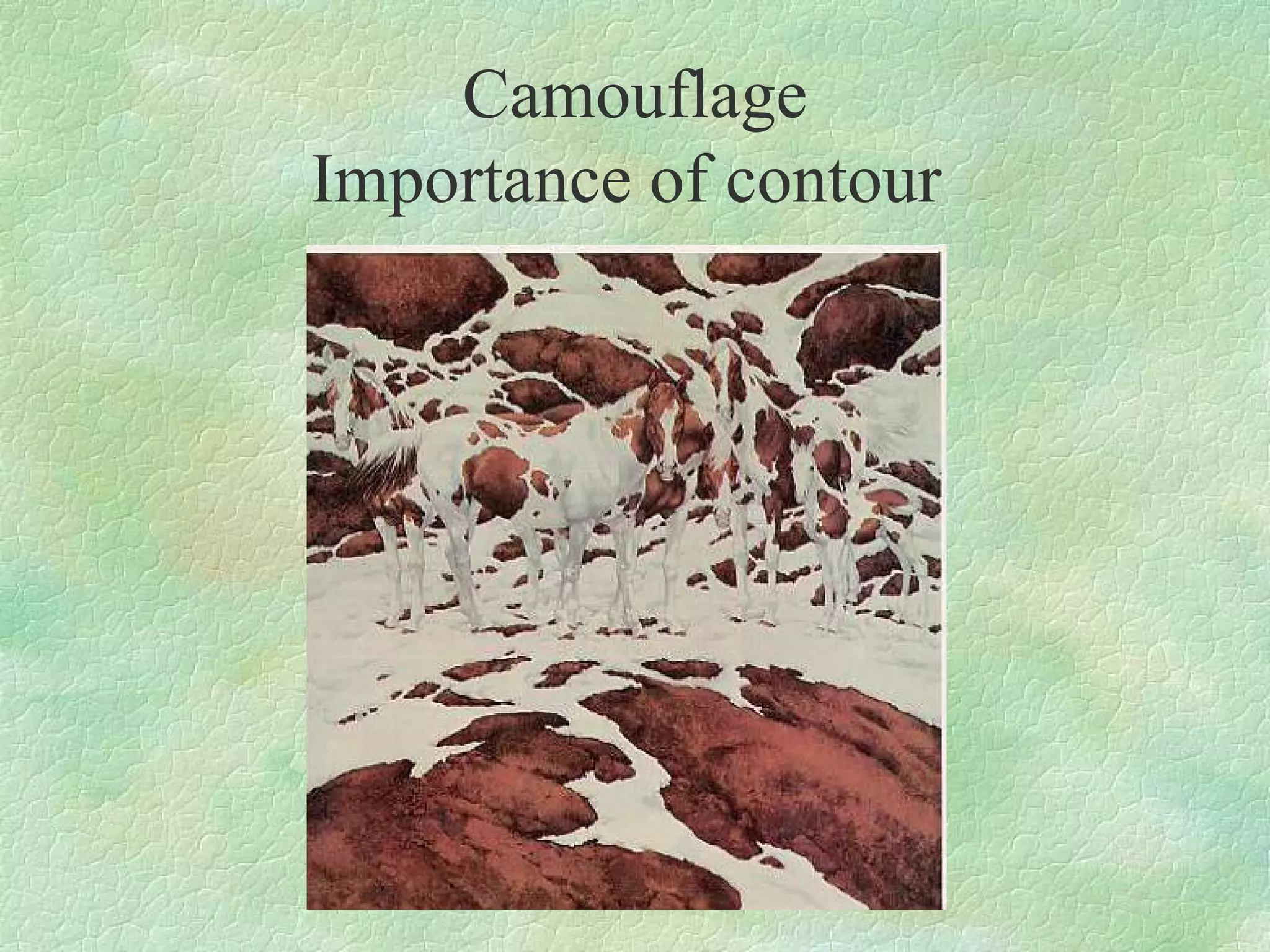 Camouflage
Importance of contour
 