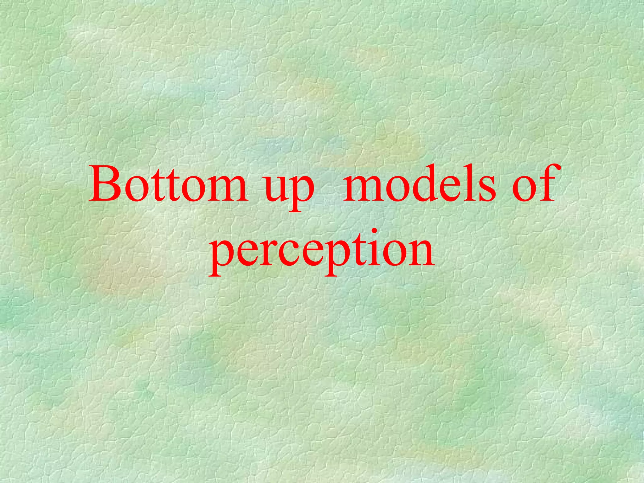 Bottom up models of
     perception
 