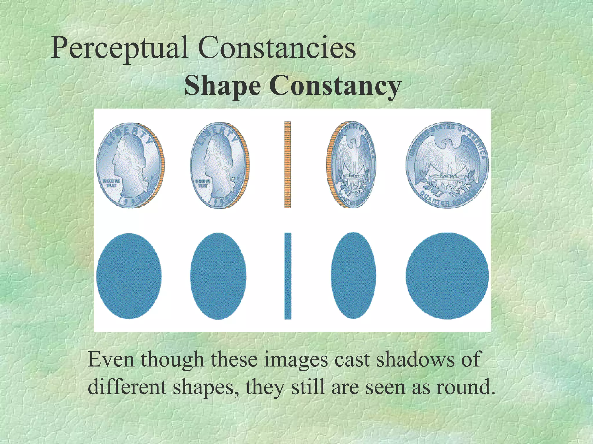 Perceptual Constancies
             Shape Constancy




  Even though these images cast shadows of
  different shapes, they still are seen as round.
 