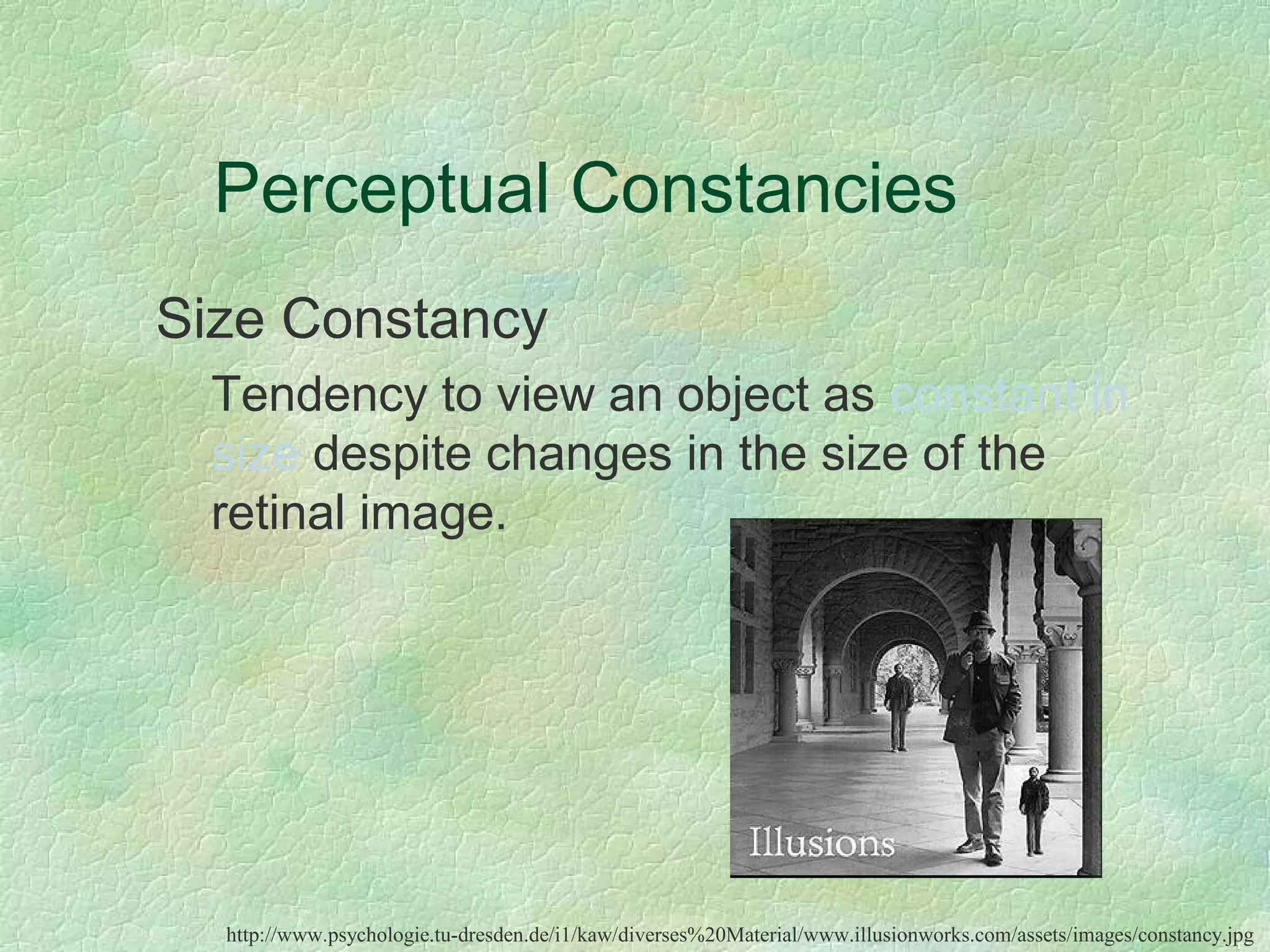 Perceptual Constancies
Size Constancy
 Tendency to view an object as constant in
 size despite changes in the size of the
 retinal image.




  http://www.psychologie.tu-dresden.de/i1/kaw/diverses%20Material/www.illusionworks.com/assets/images/constancy.jpg
 